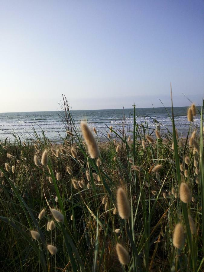 Appartamento Studio Voile de nacre Bernières-sur-Mer Esterno foto